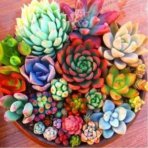 Meet your Posher, Teagan